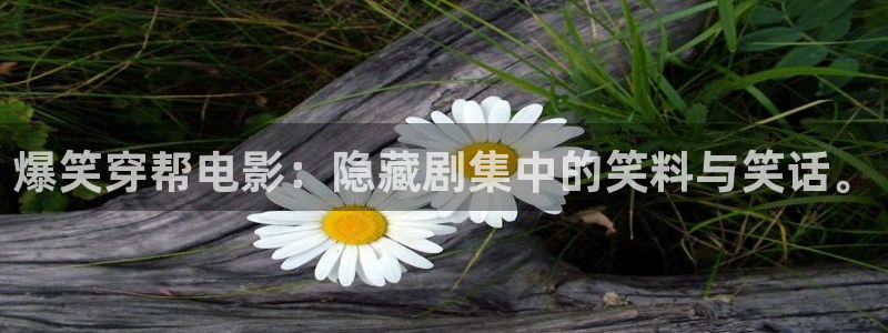 4088青苹果影视