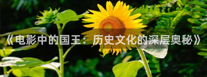 4496青苹果影院看电视剧