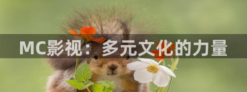 青苹果影院手机