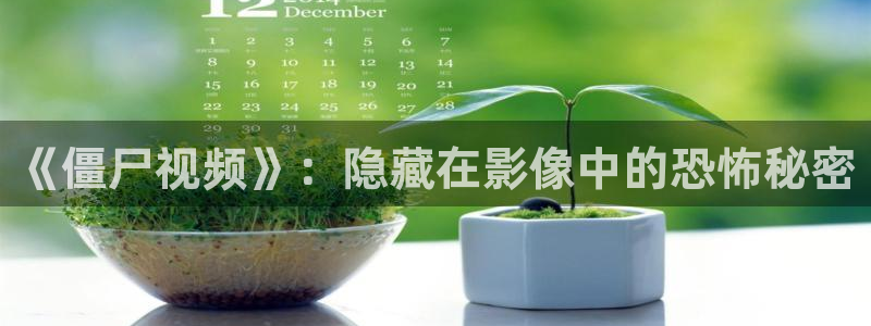 yy60900新视觉电视剧青苹果