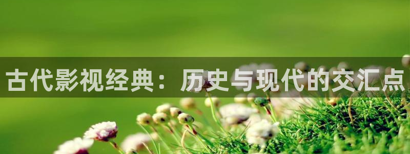 青苹果乐园在线观看免费高清