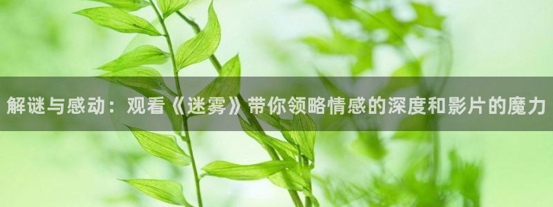 6080新视觉影院青苹果