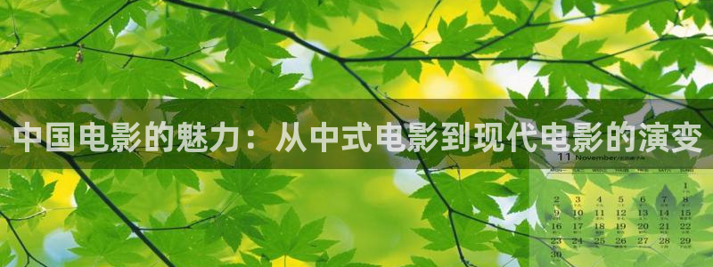 yy4480新视觉电视剧青苹果