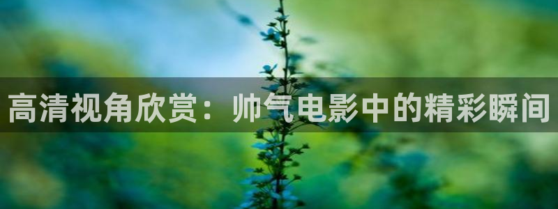 yy电影青苹果