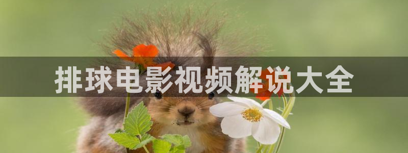 6090电影网青苹果
