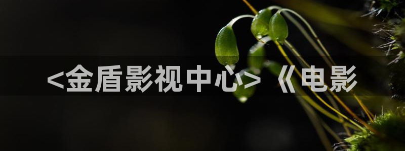 青苹果乐园在线观看高清电视剧