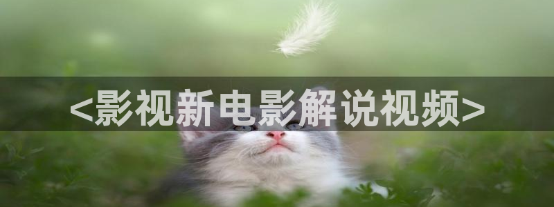 新闻图片