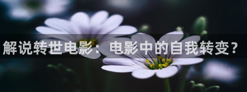 yy8090青苹果影院电视剧