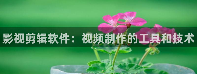 青苹果乐园影院高清电视剧免费观看