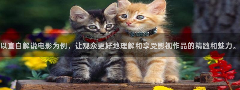 青苹果影院福利