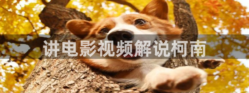 yy青苹果乐园电视剧在线观看
