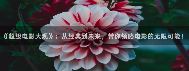 青苹果影院yy8090电视剧