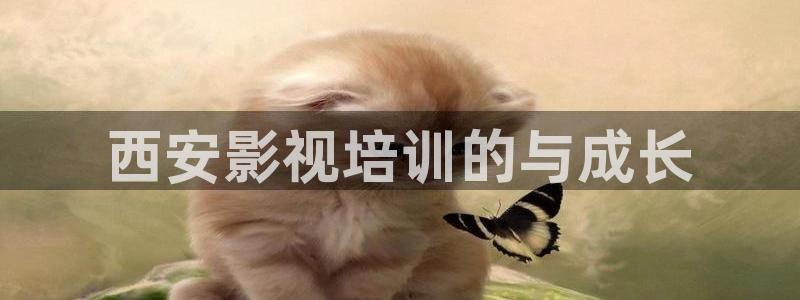 青苹果影视院线电视剧