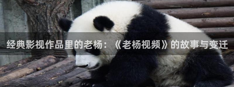 青苹果电影免费在线看